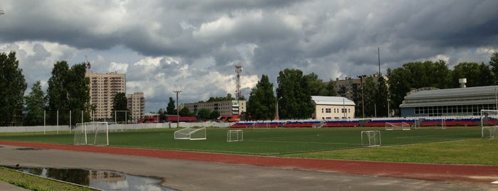 Стадион им. Ю. А. Морозова is one of Orte, die Наташа gefallen.