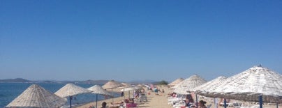 altinova beach is one of Posti che sono piaciuti a HANDE.