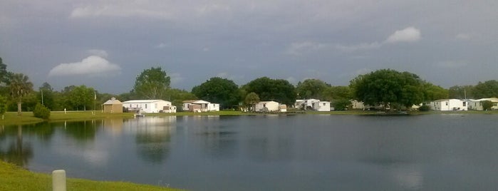 Emerald Lake Beach is one of Lieux qui ont plu à Mustafa.