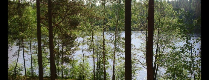 Дружинное (Чёртово) озеро is one of Lugares favoritos de Mihail.