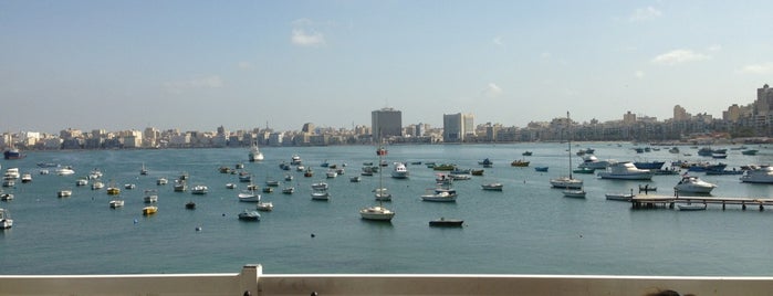 Greek Yacht Club of Alexandria is one of Locais salvos de Galal.