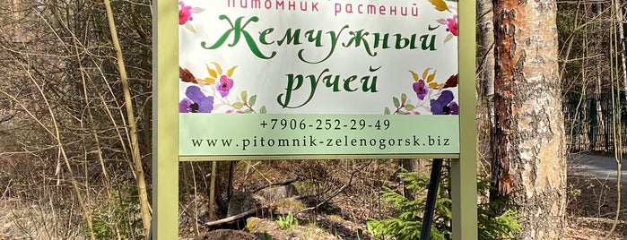 Жемчужный Ручей. Питомник растений is one of Дача needs.