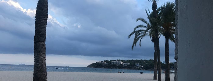 The Beach Club is one of Majorca, Spain.
