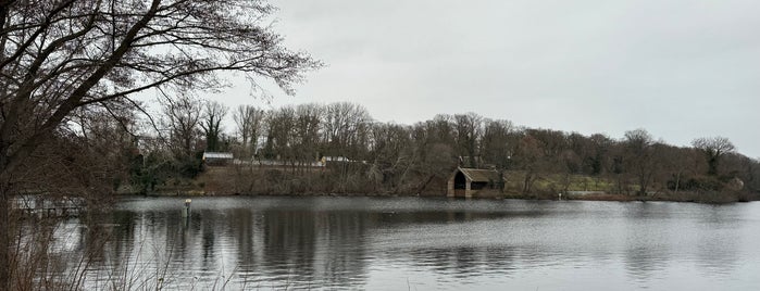 Pfaueninsel is one of Grün und Blau Berlin.