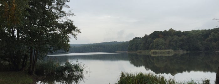Großer Lienewitzsee is one of Take Me to the Lakes.
