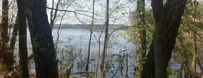 Müritz Nationalpark is one of Michael's Saved Places.