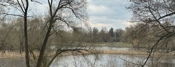 Tiefwerder Wiesen is one of Spandau.