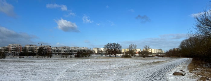 Wiesenpark is one of Parks.