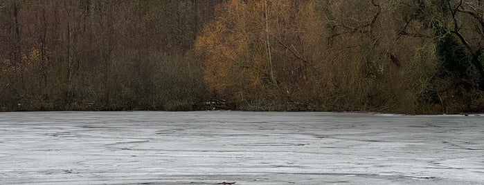 Teufelssee is one of Grün und Blau Berlin.