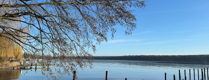 Zeuthener See is one of Berlin-Brandenburg – Nature Lakes.