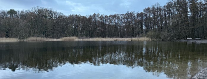 Grunewaldsee is one of Tempat yang Disukai Zoltan.