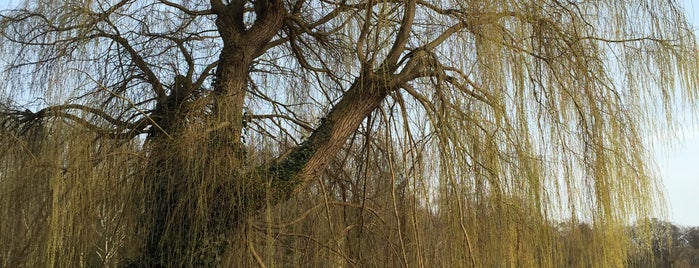 Volkspark Jungfernheide is one of Wanna Try in Berlin.