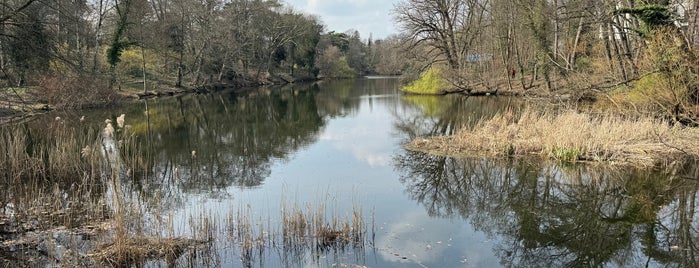 Hubertussee is one of cancer.