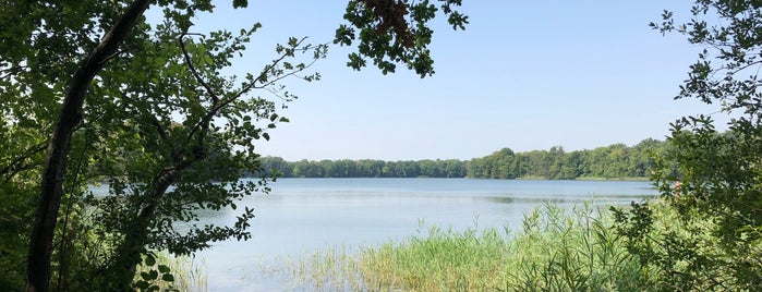 Plessower See is one of Werder/Havel und Umgebung.