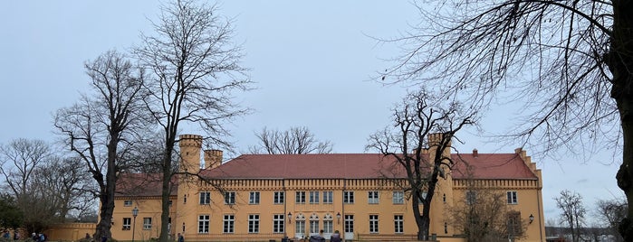 Schloss Petzow is one of Museen.