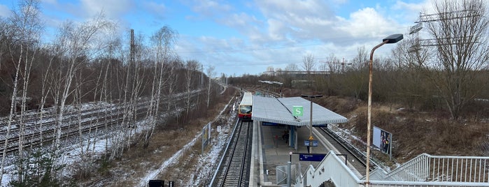 S Gehrenseestraße is one of Berliner S-Bahn.