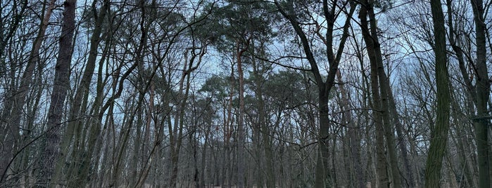 Volkspark Schönholzer Heide is one of Berlin.