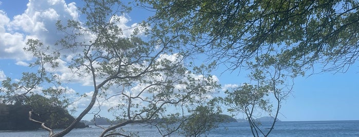 Playa Danta is one of Surfing.