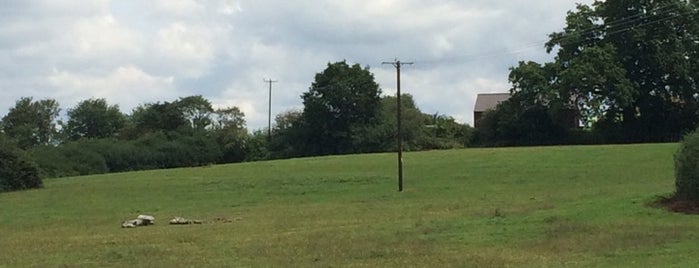 Lingfield Road Recreation Ground is one of London Parks.