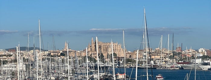 Paseo Marítimo is one of Majorca, Spain.