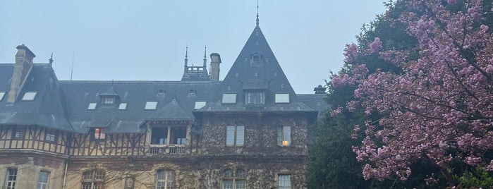 Château de Montvillargenne is one of 古城ホテル(フランス).