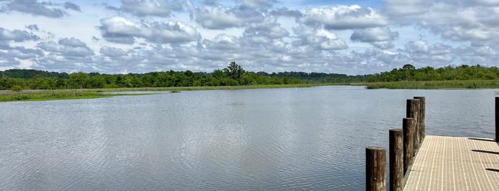 Meaher State Park is one of Lieux sauvegardés par Kimmie.