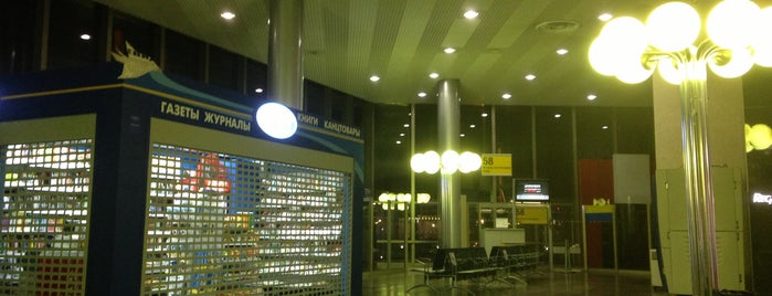 Зона досмотра пассажиров / Security Control (F) is one of SVO Airport Facilities.