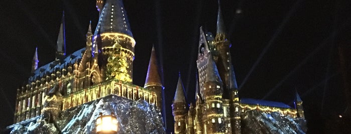 Hogwarts Castle Holiday Lights Show is one of Orte, die Noelle gefallen.