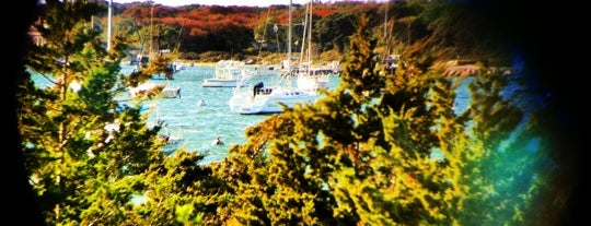 Morris Island is one of Lugares favoritos de Ann.