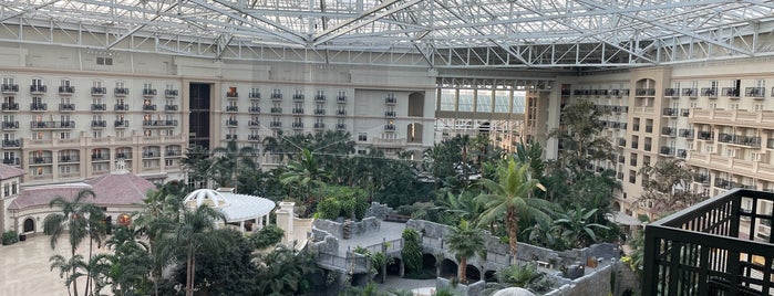 Gaylord Palms Resort & Convention Center is one of Orte, die Susan gefallen.