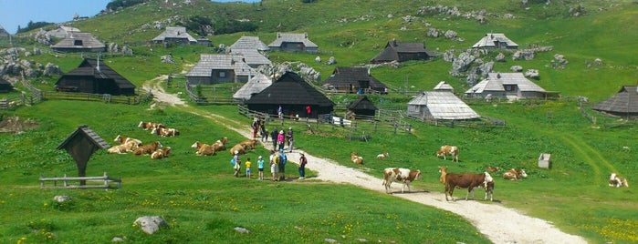 Velika Planina is one of .si.