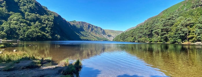 Glendalough Woods Nature Reserve is one of Ireland-List 2.