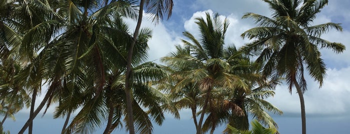 Florida Keys