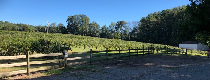 Burnley Vineyards is one of Charlottesville Wineries.