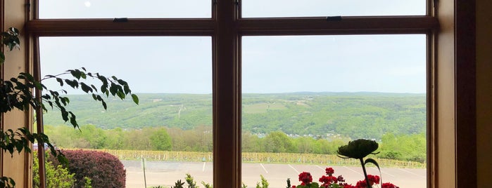 Bully Hill Vineyards is one of Finger Lakes Wine Trail & Some.