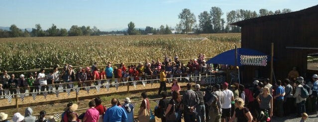 Meadows Maze is one of West Side - BC. Canada.