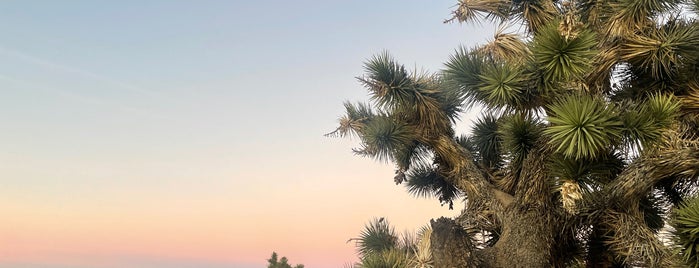 Black Rock Campground is one of Joshua tree.