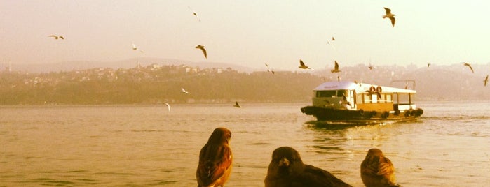 Favorites in Istanbul