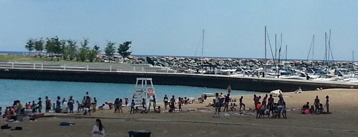 31st Street Harbor is one of Sites You May Want To see In Chicago.