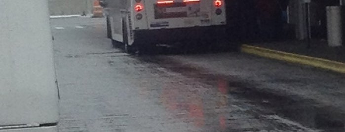 MTA Bus - SI Ferry & Ramp B (S51/S74/S76/S81/S84/S86) is one of Orte, die Lizzie gefallen.