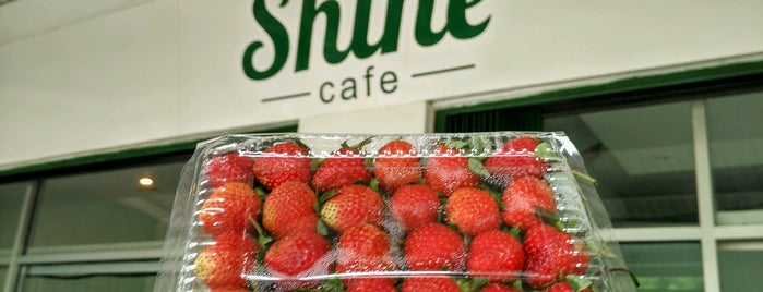 Shine Cafe is one of Cake, Milk, Ice Cream, Yoghurt Yogyakarta.