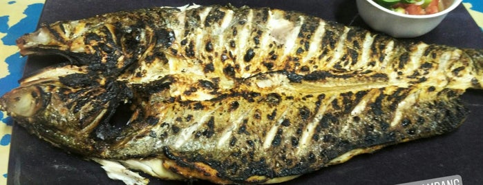 Ikan Bakar Bu Bambang " Khusus Ikan Laut" is one of Kuliner Jogja.