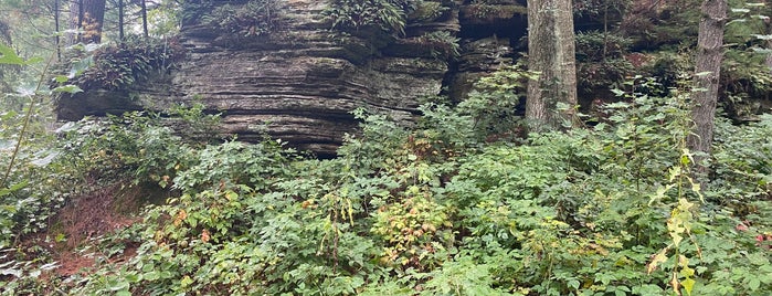 Rocky Arbor State Park is one of Wisconsin Dells.