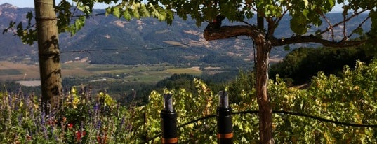 Barnett Vineyards is one of Napa's Saved Places.