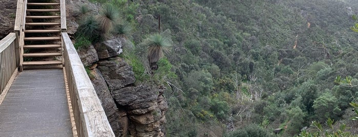 Morialta Conservation Park is one of South Australia.
