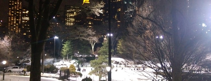 Central Park is one of Yeliz Ş. 님이 좋아한 장소.