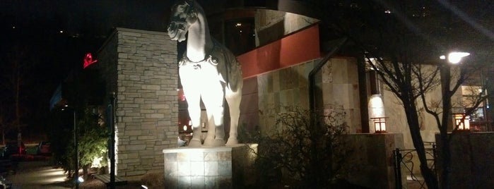 P.F. Chang's is one of Lieux qui ont plu à Yeliz Ş..