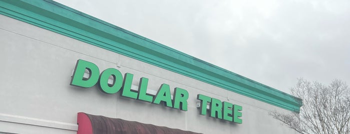 Dollar Tree is one of shopping fun.