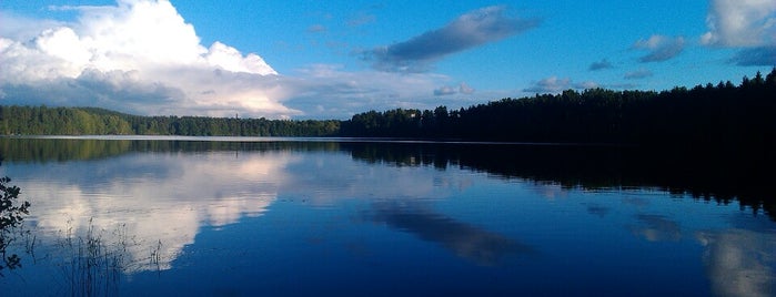 Озеро Сапёрное is one of Tempat yang Disukai Na.
