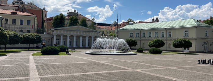 Presidential Palace of the Republic of Lithuania is one of Lithuania vilnius.